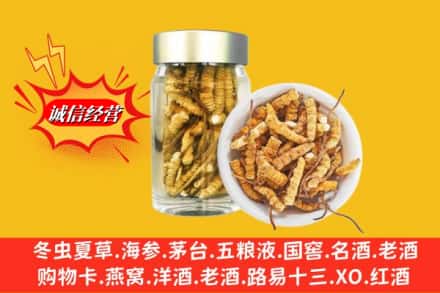 潍坊市回收散虫草
