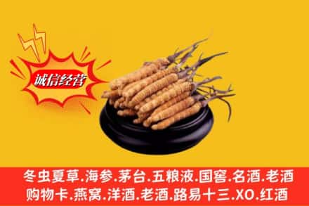 潍坊市求购回收虫草多少钱每克